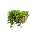 Cesto De Palha Taboa Artesanal Natural 30cm Cachepot Rústico
