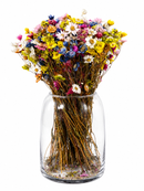 Buquê De Margarida Colorida Desidratada 60cm Flores Secas