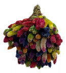 Buque Rabo De Gato Colorido Celosia Maço Flores Desidratadas