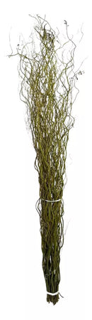 Kit 10 Galhos Seco Vime Torto 1.5 Metro Desidratados