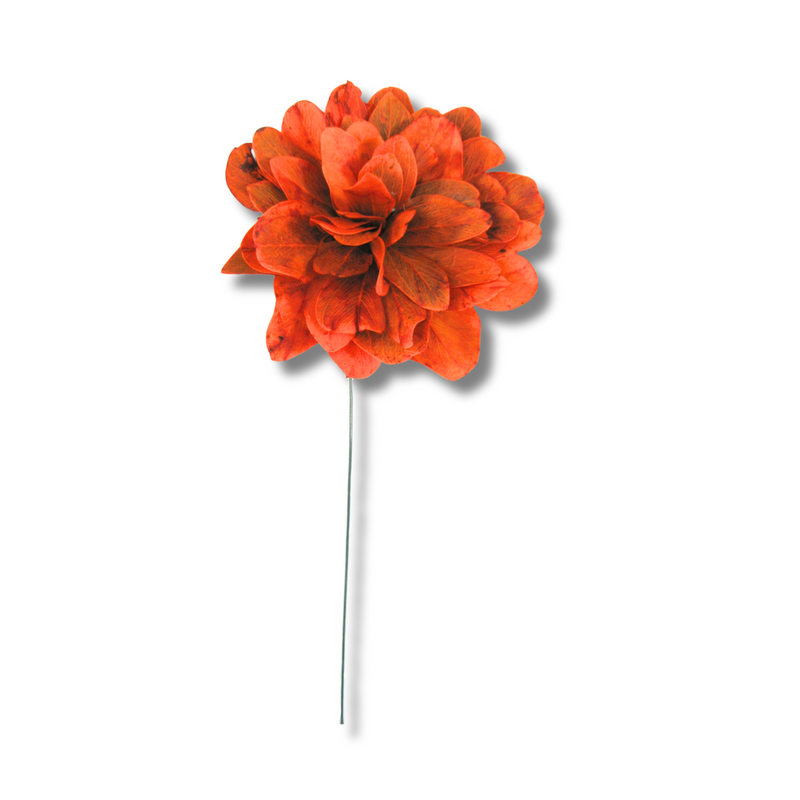 1 Flor de Folha Quina Com Arame Dobrável Desidratada - Laranja