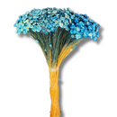 Buque Flor De Sempre Vivas 1500 Flores