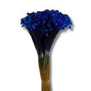 Buque Flor De Sempre Vivas 1500 Flores