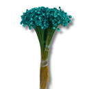 Buque Flor De Sempre Vivas 1500 Flores