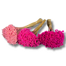 Buque Flor De Sempre Vivas 1500 Flores