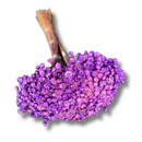 Buque Flor De Sempre Vivas 1500 Flores