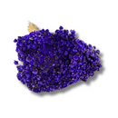 Buque Flor De Sempre Vivas 1500 Flores