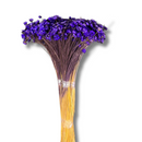 Buque Flor De Sempre Vivas 1500 Flores