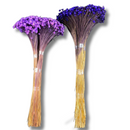 Buque Flor De Sempre Vivas 1500 Flores