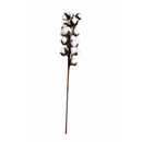 1 Unidade Haste De Algodão Artificial Decorativo 65 Cm