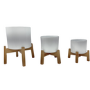 Tripé De Madeira Com Vasos Cerâmica Branco Cilíndrico P M G