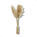 Vaso Garrafa Alto De Vidro C/5 Capim Dos Pampas Decoração Pinterest