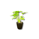 Vaso De Cerâmica Ouro Preto 15cm Furo De Drenagem Plantas