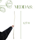 Kit 3 Galhos Brancos Desidratados 1,25m Corkscrew Willow