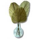 1 Folha De Palmeira Latania Leque Redonda Desidratada Seca