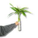 Bambu Trançado Decorativo 6 Hastes C Vaso De Cerâmica Cores