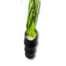 Bambu Trançado Decorativo 6 Hastes C Vaso De Cerâmica Cores