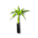 Bambu Trançado Decorativo 6 Hastes C Vaso De Cerâmica Cores