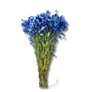 Buquê Flores Rodante Flor De Margarida Azul Desidratada