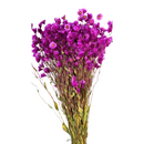 Buquê Flores Rodante Flor De Margarida Desidratada