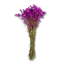 Buquê Flores Rodante Flor De Margarida Desidratada