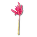 1 Buquê Trigo Chines Desidratado Seco Composição Arranjo Floral