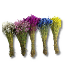 Buquê Flores Rodante Flor De Margarida Desidratada