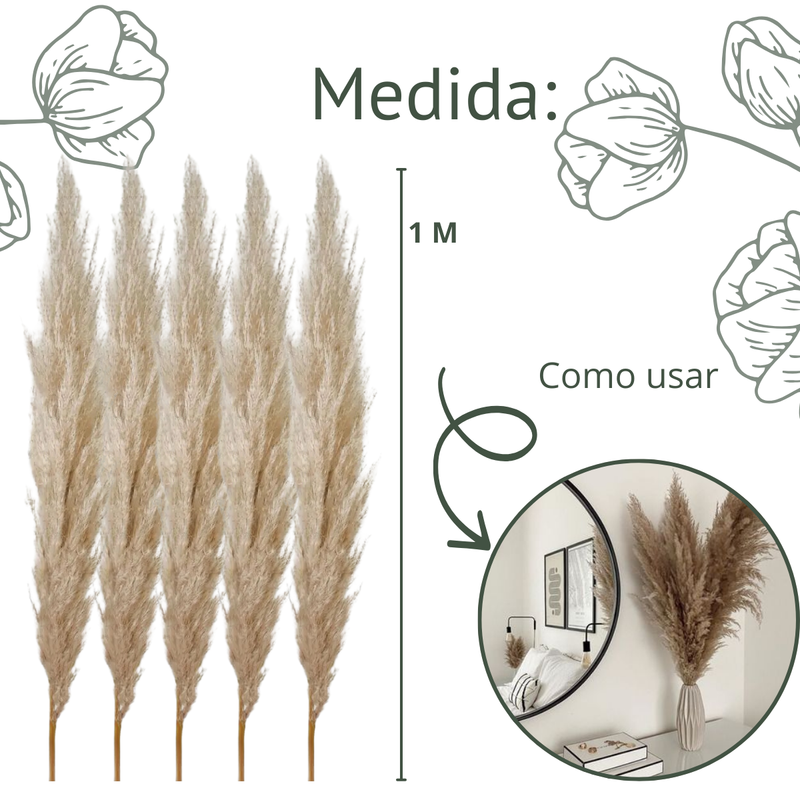 5 Haste de Capim dos Pampas Pluma Grass Boho