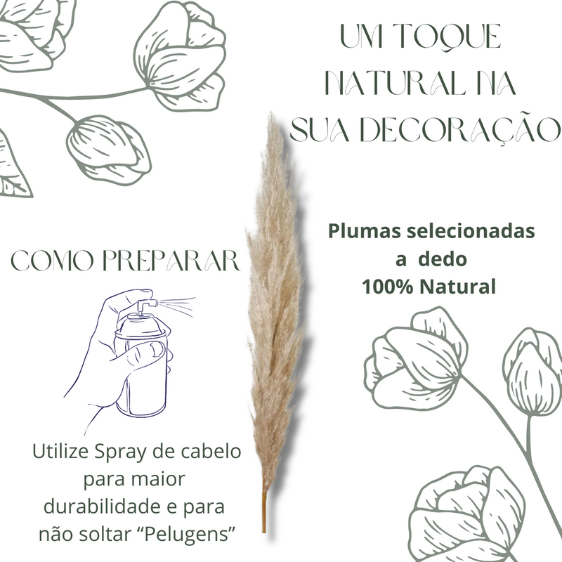 8 Haste de Capim dos Pampas Pluma Grass Boho