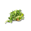 Cesto Palha Taboa Artesanal Natural 15cm Cachepot Decorativo