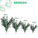 Buque De Eucalipto Desidratado Natural - Seco 10Cm