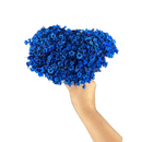 Buque Flor De Sempre Vivas 1500 Flores