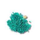 Buque Flor De Sempre Vivas 1500 Flores