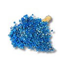 Buque Flor De Sempre Vivas 1500 Flores