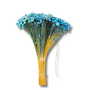 Buque Flor De Sempre Vivas 1500 Flores