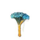 Buque Flor De Sempre Vivas 1500 Flores