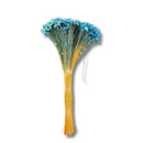 Buque Flor De Sempre Vivas 1500 Flores