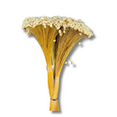 Buque Flor De Sempre Vivas 1500 Flores