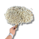 Buque Flor De Sempre Vivas 1500 Flores