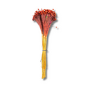 Buque Flor De Sempre Vivas 1500 Flores