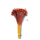 Buque Flor De Sempre Vivas 1500 Flores