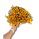 Buque Flor De Sempre Vivas 1500 Flores