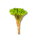 Buque Flor De Sempre Vivas 1500 Flores