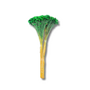 Buque Flor De Sempre Vivas 1500 Flores