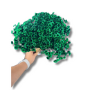 Buque Flor De Sempre Vivas 1500 Flores