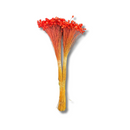 Buque Flor De Sempre Vivas 1500 Flores