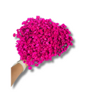 Buque Flor De Sempre Vivas 1500 Flores