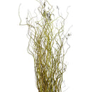 Kit 100 Galhos Seco Vime Torto 1 Metro