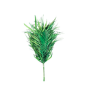 Kit 10 Folhas De Areca Verde Tingido Para Arranjos Decoração