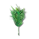 Kit 10 Folhas De Areca Verde Tingido Para Arranjos Decoração